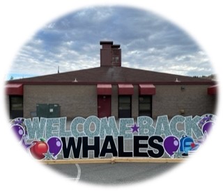 Welcome Back
